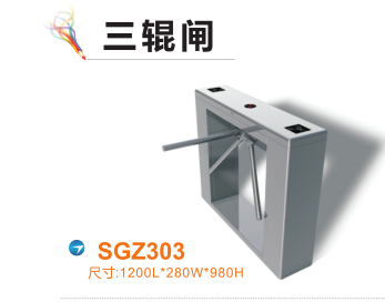 连云港徐圩新区三辊闸四号